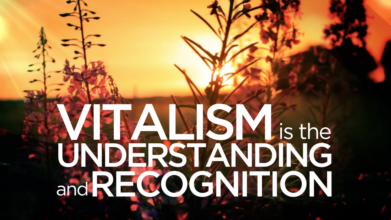 Life Movement: Vitalistic Philosophy